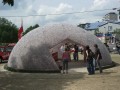 Thumbs/tn_CIMG0829.jpg