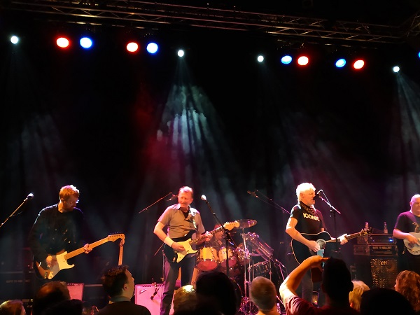 Bog Country im Tollhaus